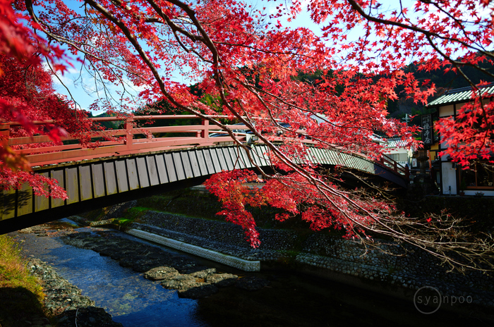 楽天市場】油彩額縁 3476 F4 号(333×242) （アクリル仕様・樹脂